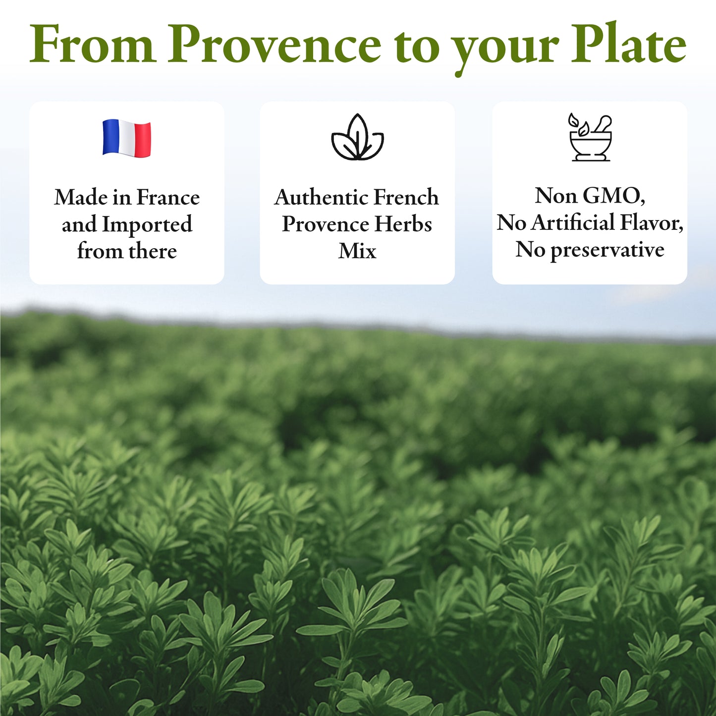 Straight From France Provence Herbs Seasoning from France 3.5 Oz (case of 50)