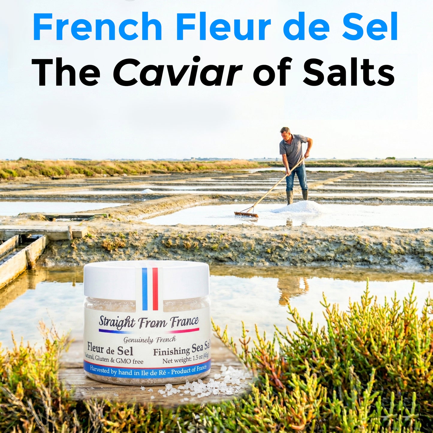 Straight from France French Fleur De Sel Finishing Sea Salt 4 Oz (Case of 12)